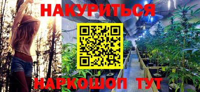 ECSTASY Гай