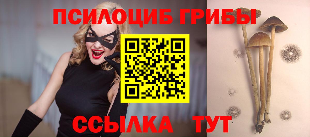 Можга  где продают наркотики  Вход с VPN  Галлюциногенные грибы ЛСД 
