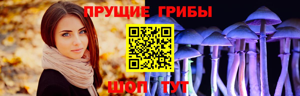 Псилоцибиновые грибы Magic Shrooms Можга