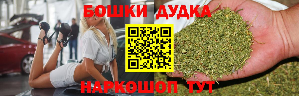 Бошки Шишки план Можга